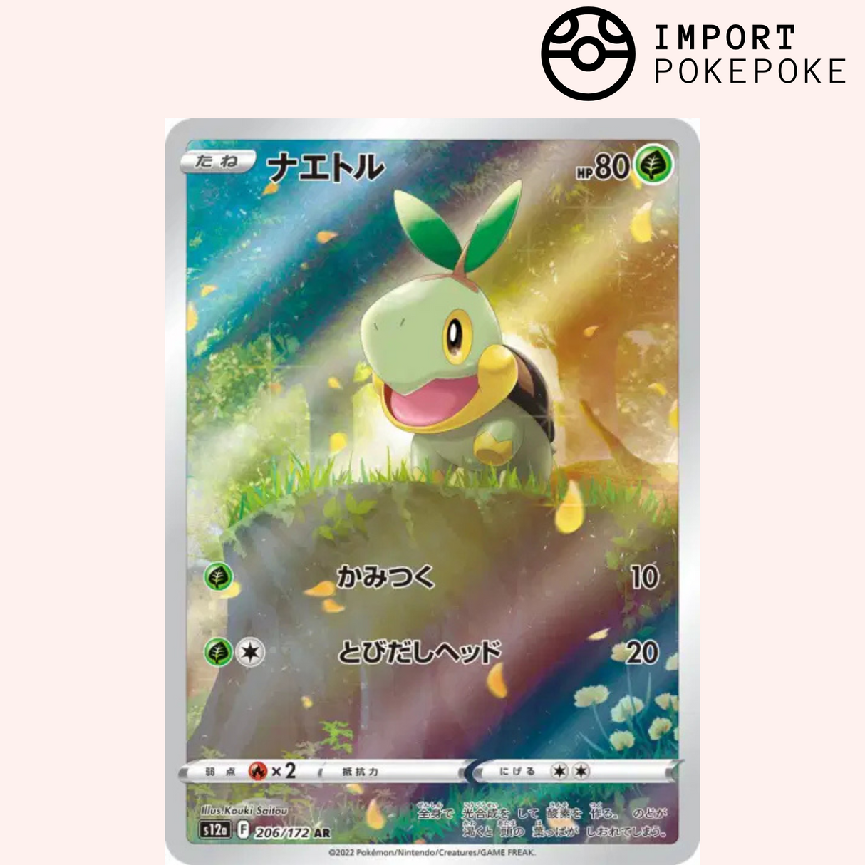 Tortipouss AR 206/172 - VSTAR Universe - S12a