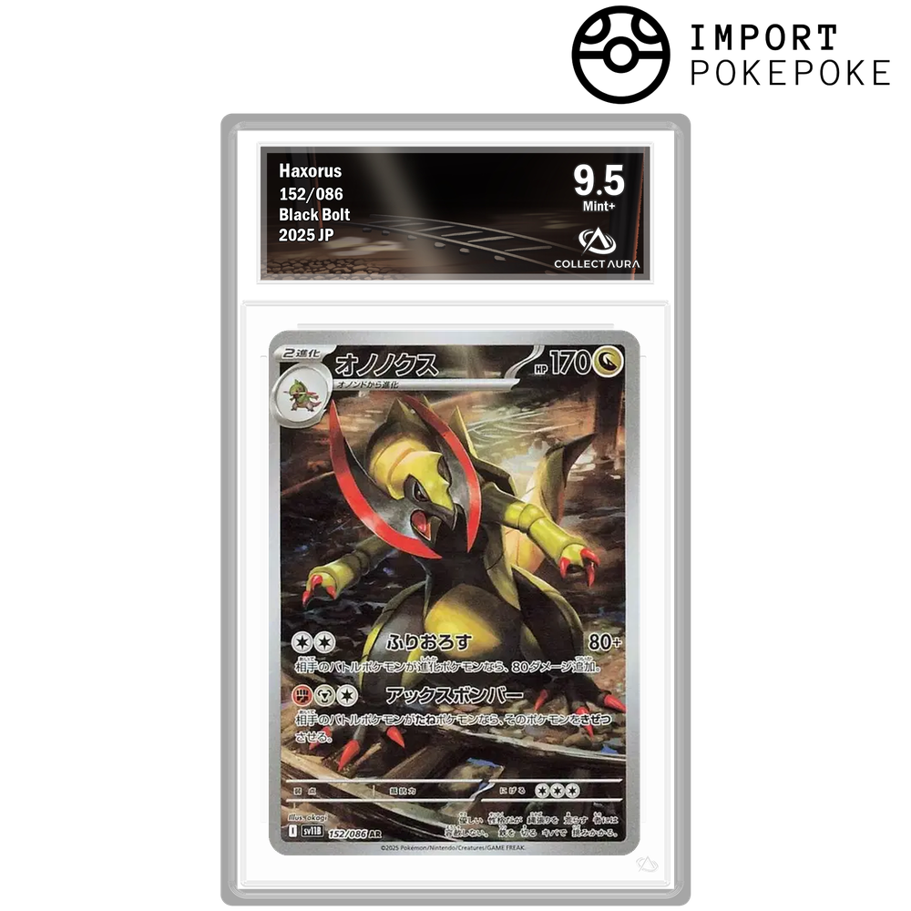 Tranchodon AR 152/086 - SV11B