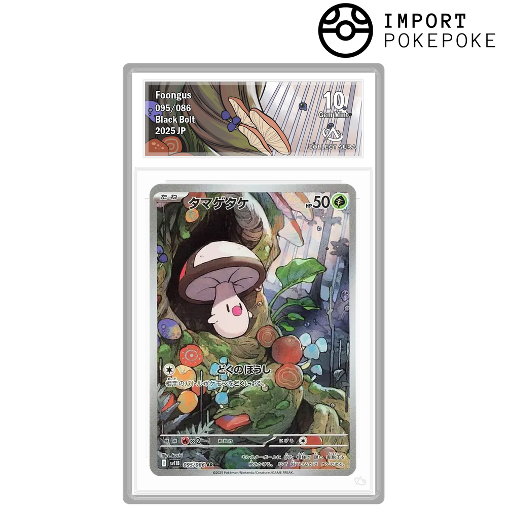 Trompignon AR 095/086 - SV11B