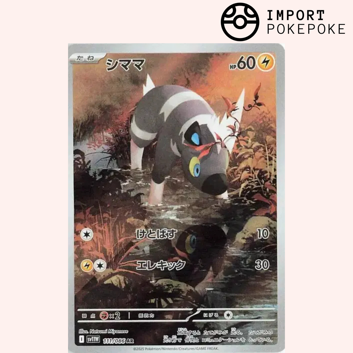 Zébibron AR 111/086 SV11w