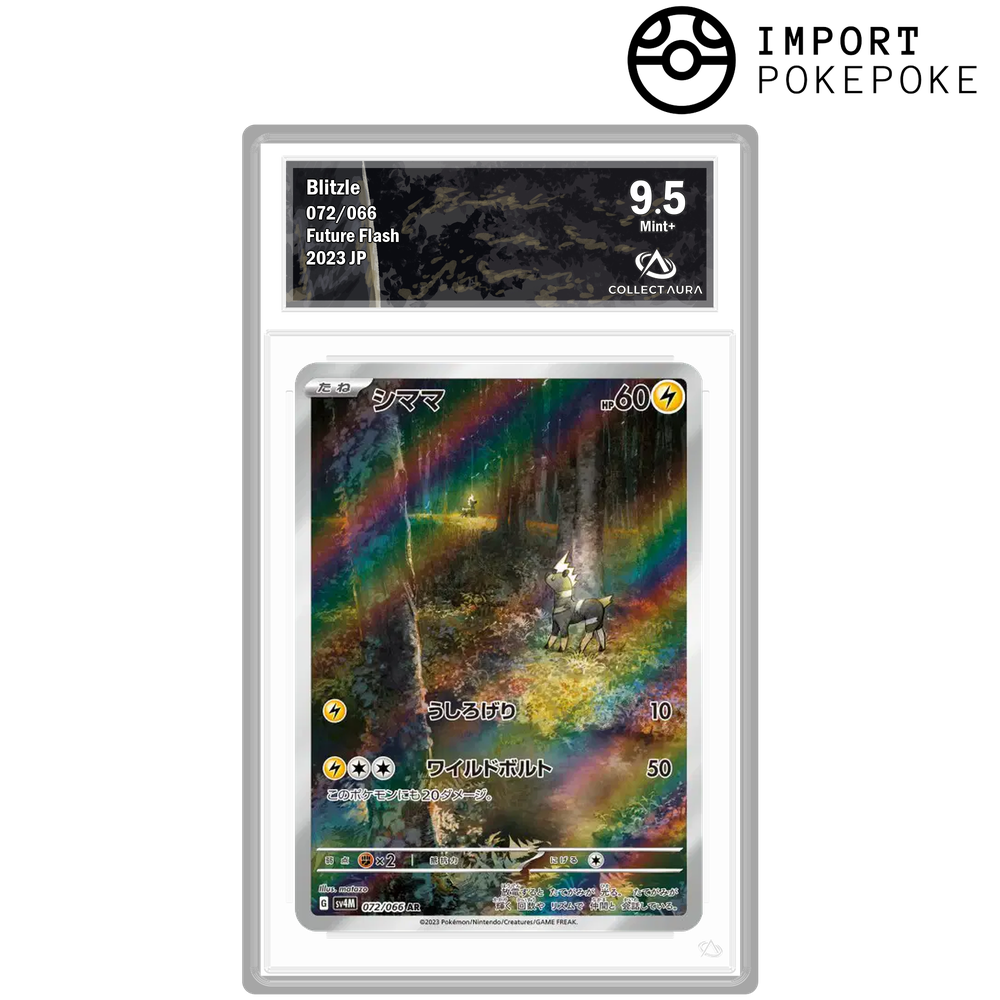 Zébibron AR 072/066 - SV4M