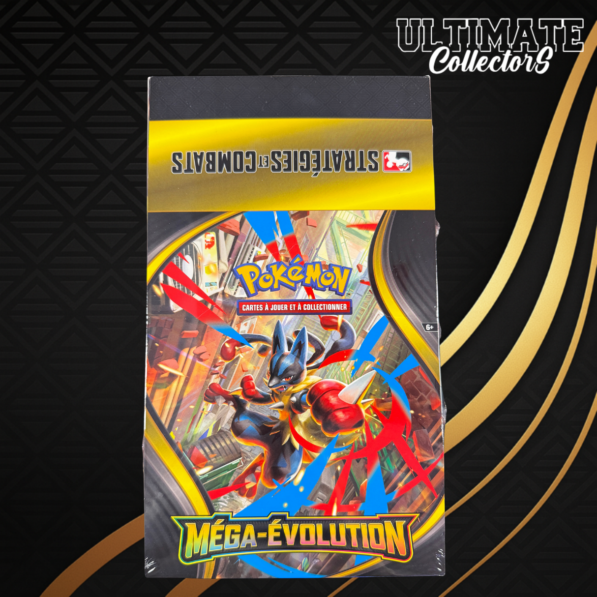 Display Kit AP - Méga-Evolution - Français