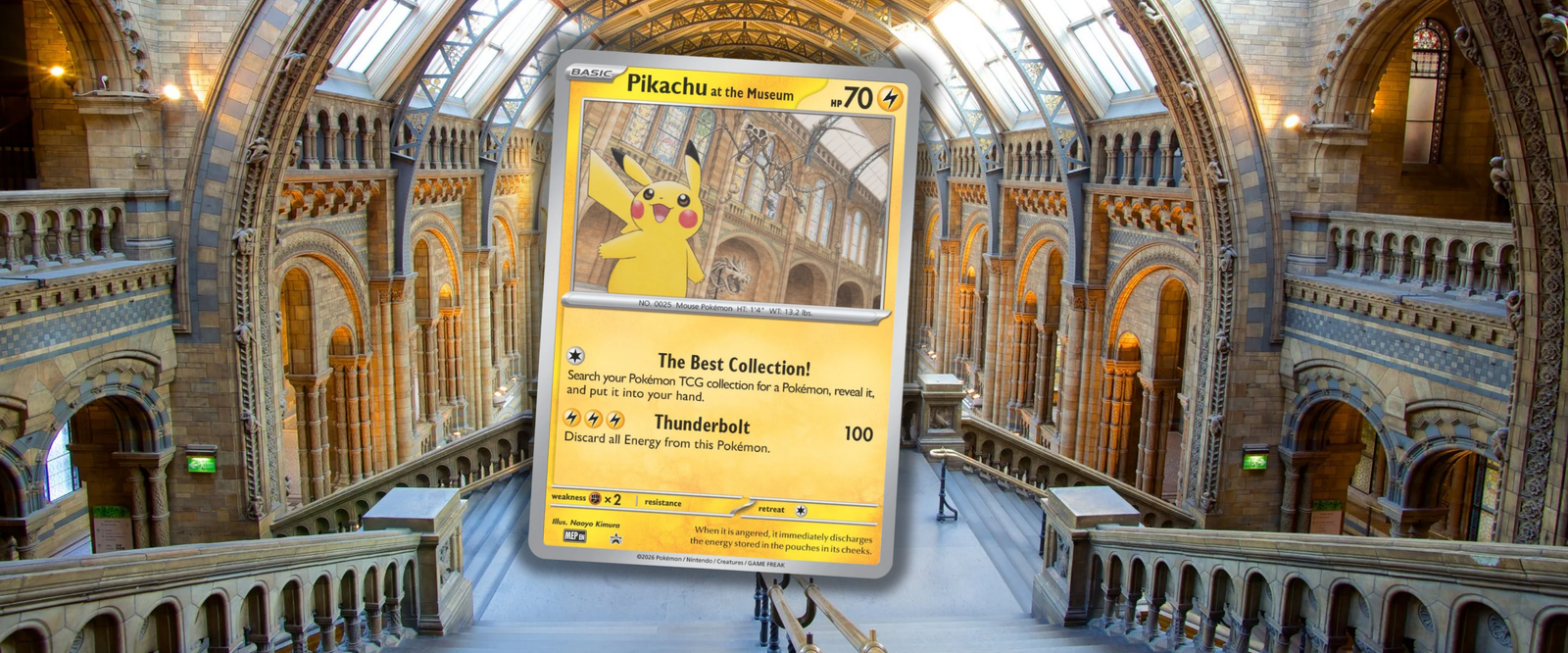 Pikachu x Musée d'histoire naturelle de Londres