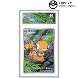 Baggiguane AR 136/086 - SV11W