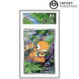 Baggiguane AR 136/086 - SV11W