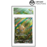 Barpau AR 110/106- SV8 