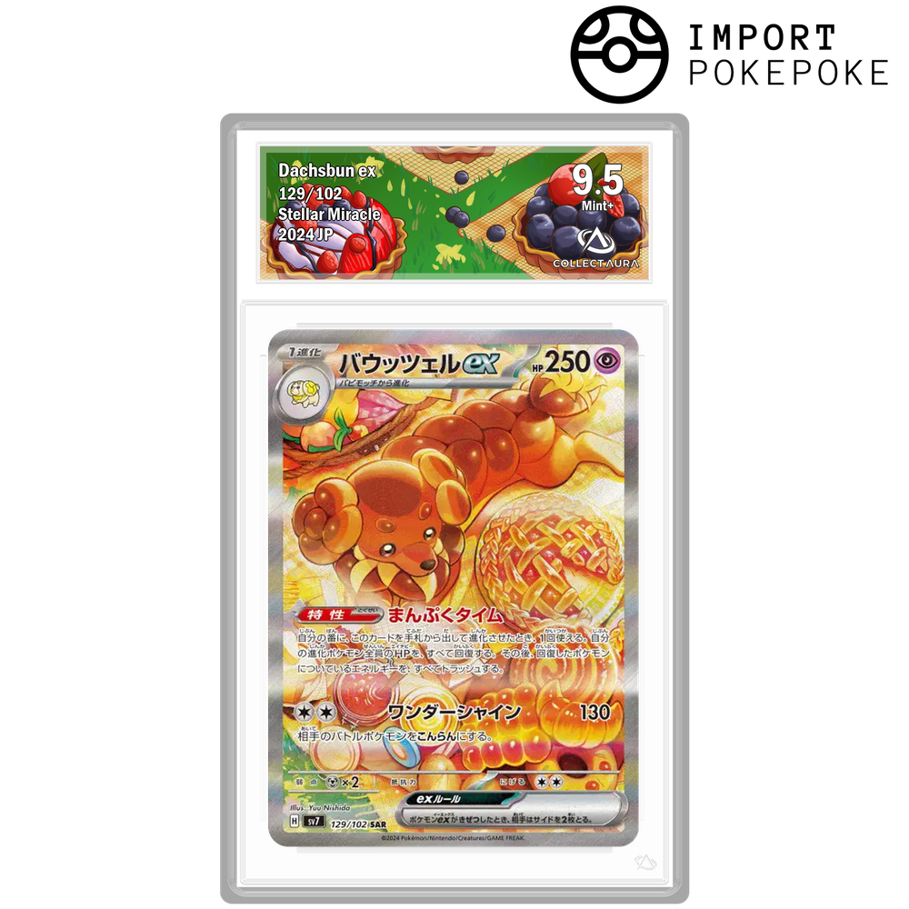 Briochien ex SAR 129/102 - SV7 