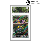 Capumain AR 075/066 - SV4M