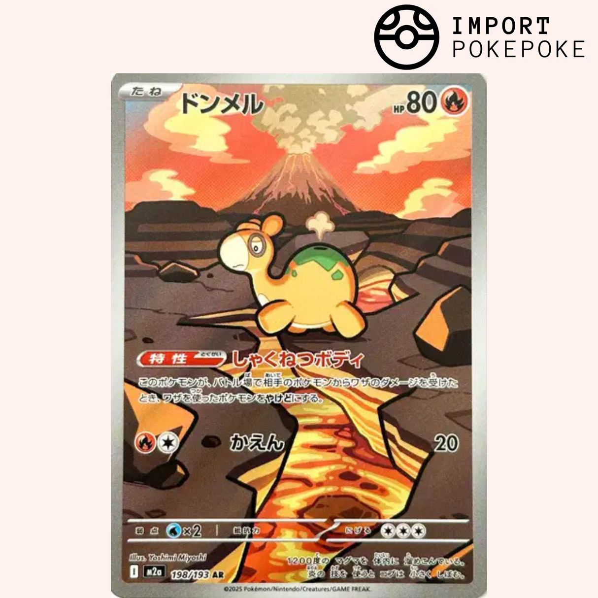 Chamallot AR 198/193 - M2a