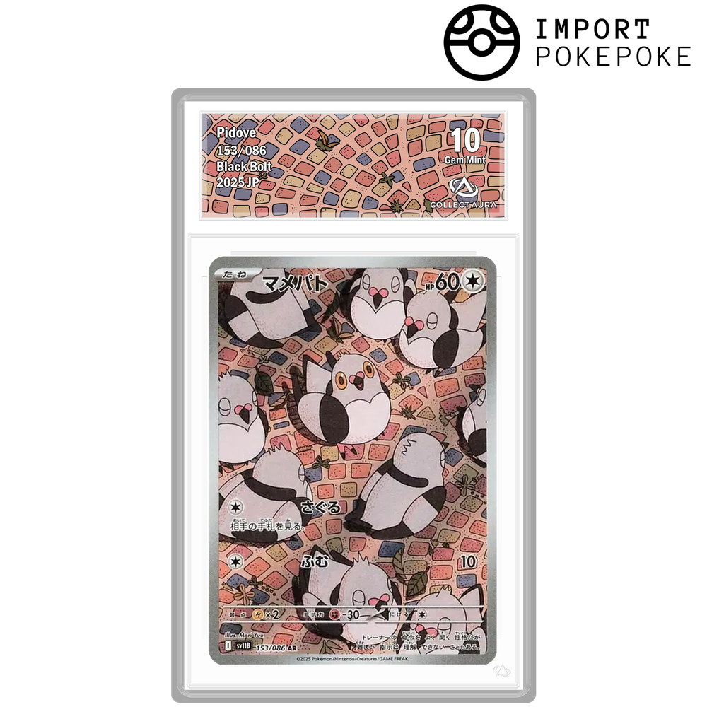 Poichigeon AR 153/086 - SV11B