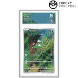 Gargantua AR 105/086 - SV11W