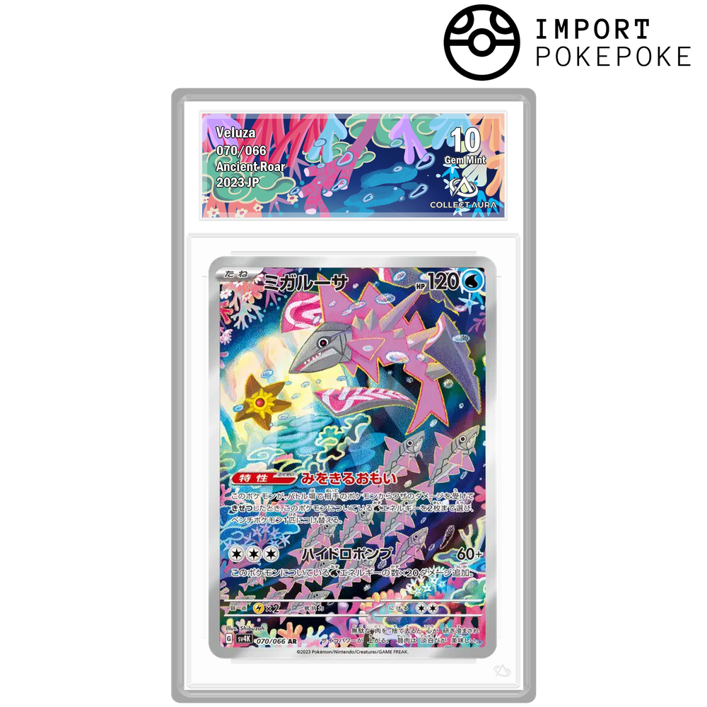 Délestin AR 070/066 - SV4k