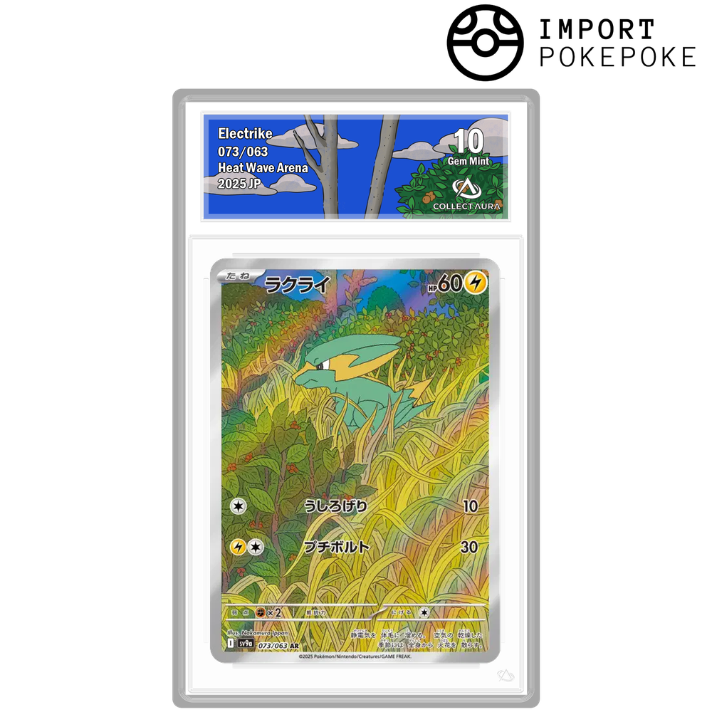 Dynavolt AR 073/063 - SV9A