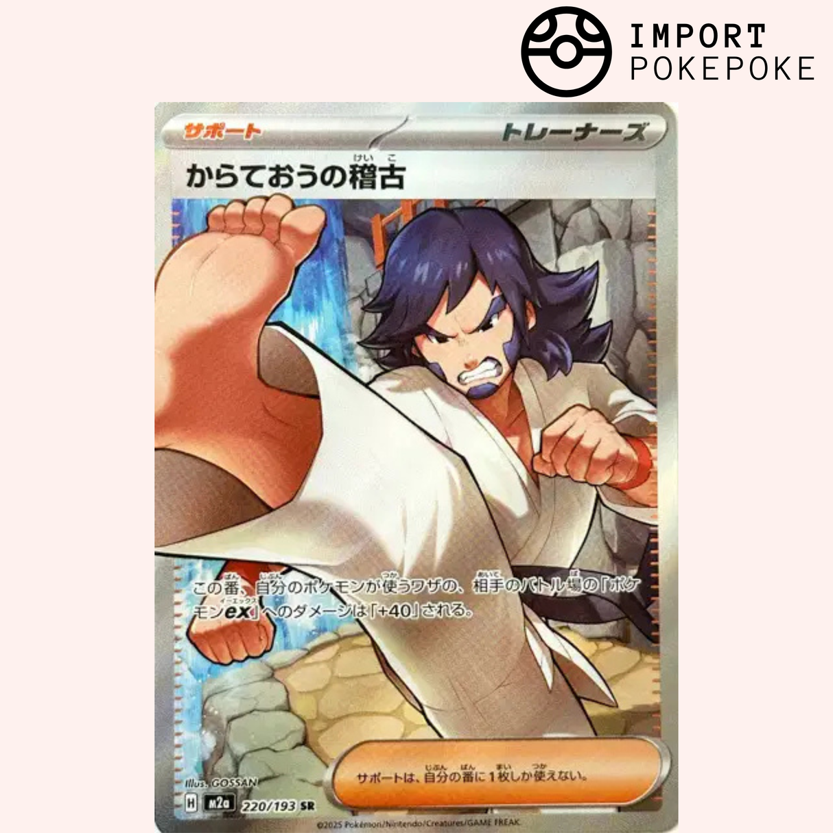 Entraînement de Karatéka SR 220/193 - M2a