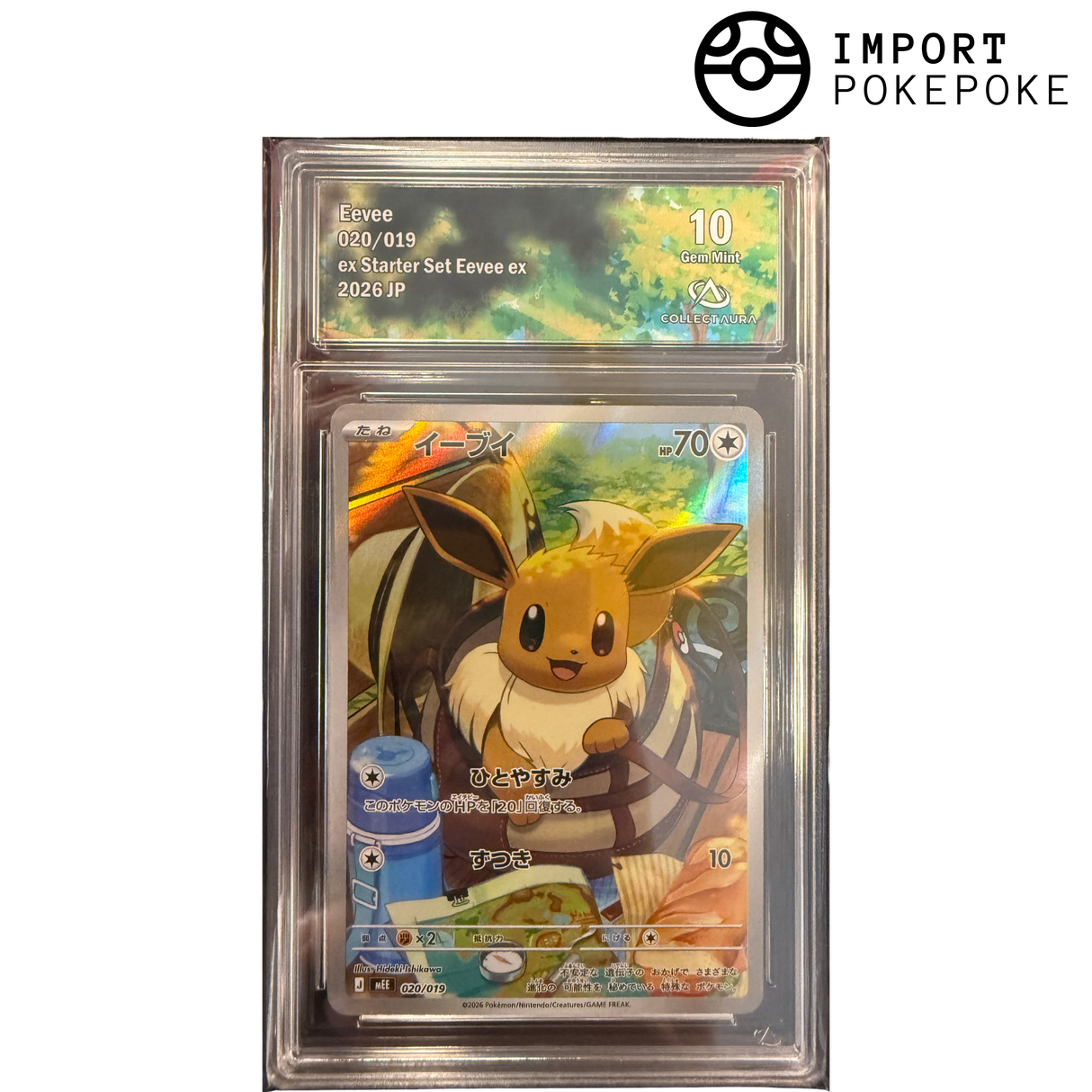 Evoli AR 020/019 - ex Starter Set Eevee ex