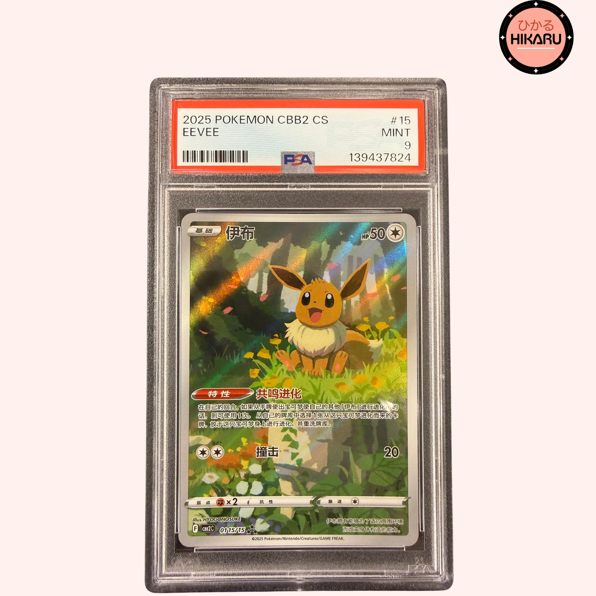 Evoli AR 0115/15 - CBB2C (CN)