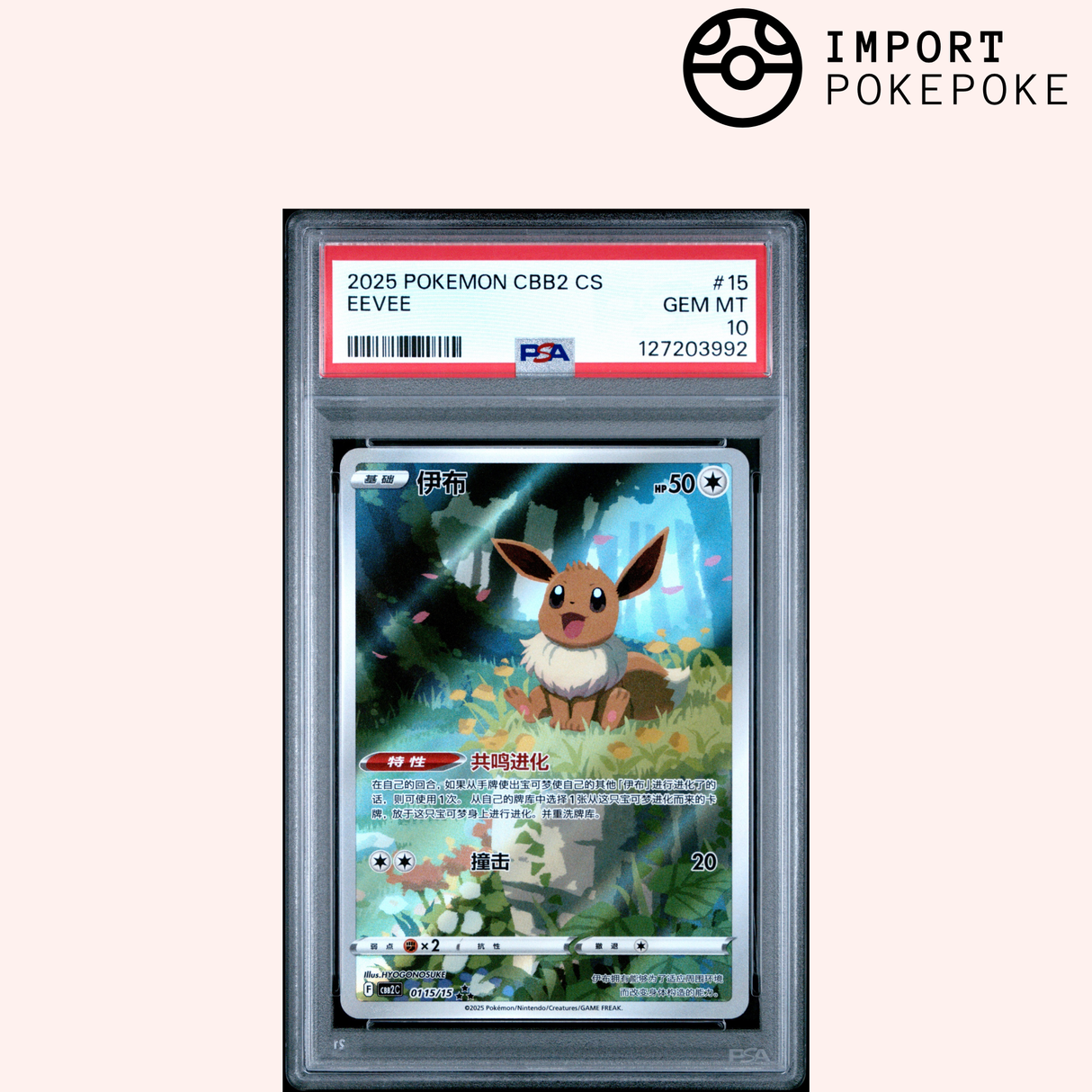 Eevee AR 0115/15 - CBB2C 