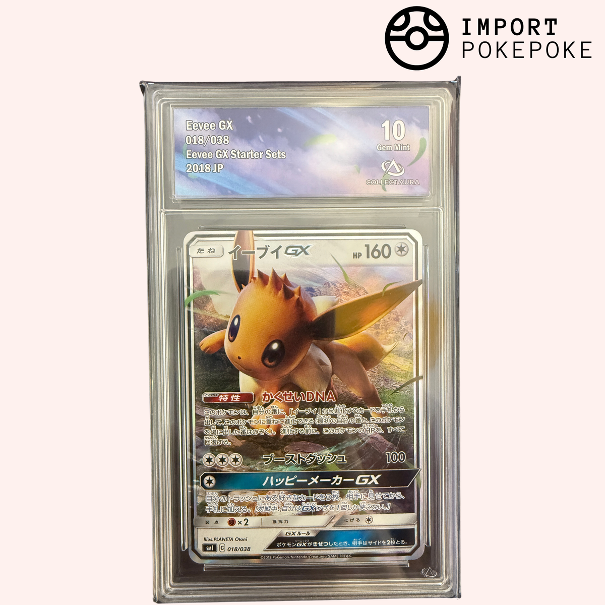 Evoli GX 018/038 - SM1 – Hikaru Distribution