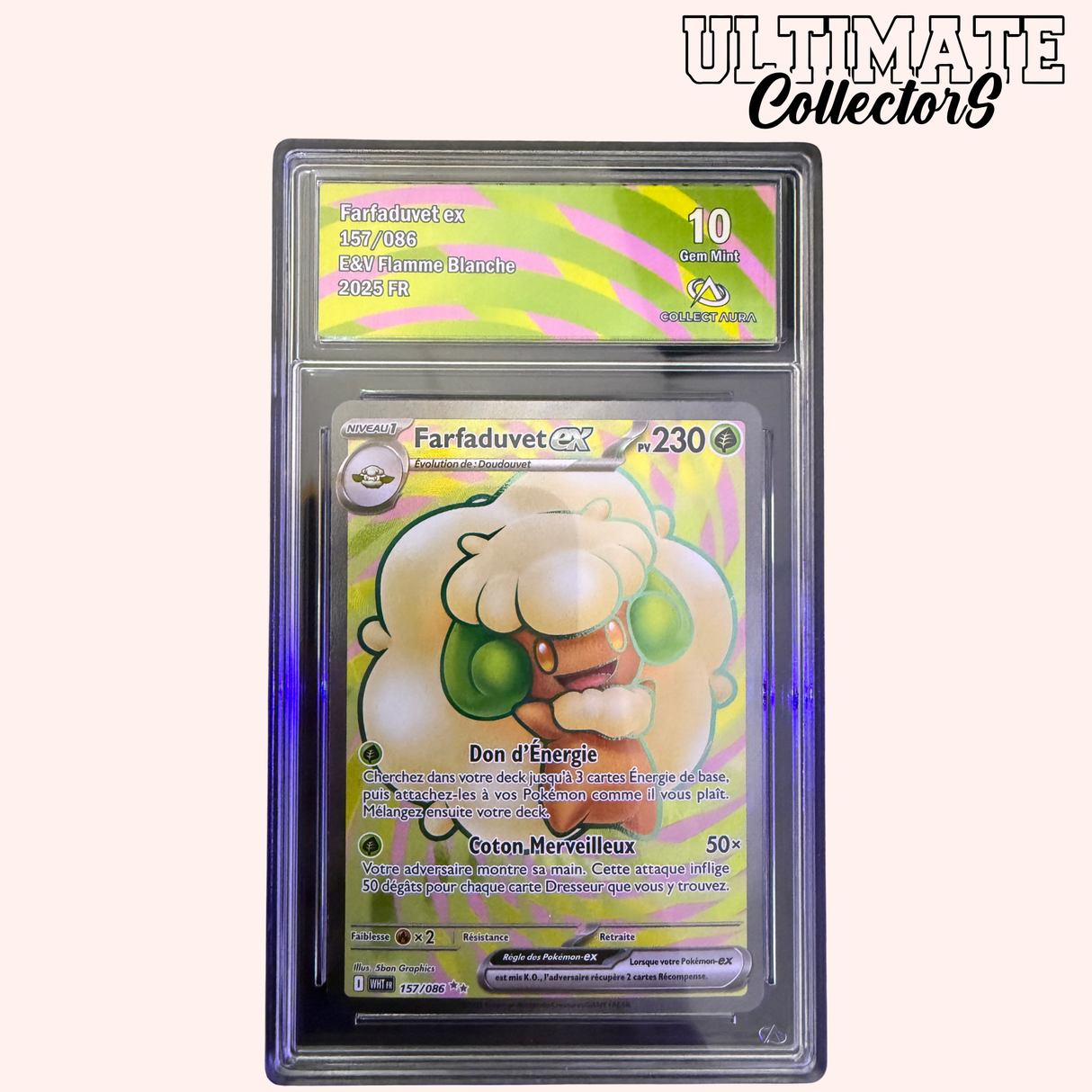 Whimsicott ex FA 157/086 - WHT
