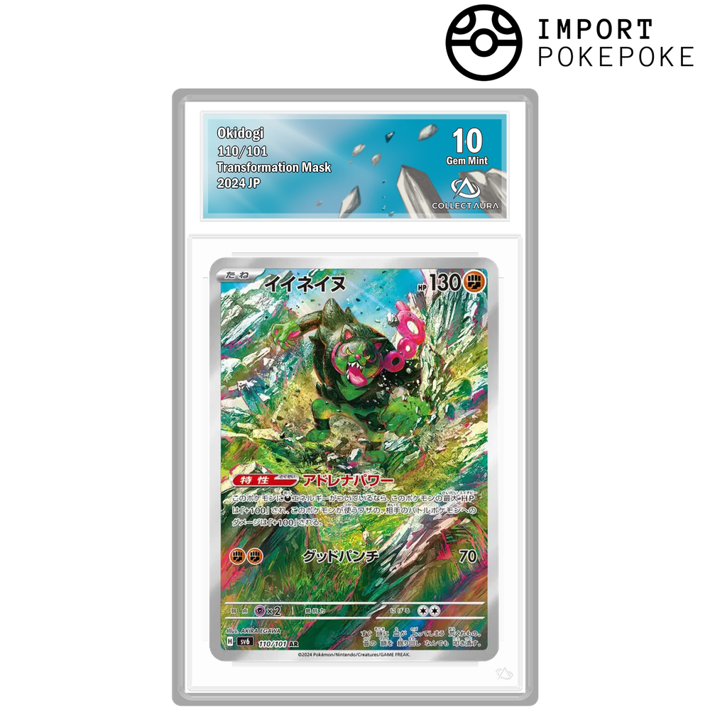 Félicanis AR 110/101 - SV6