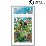 Félicanis AR 110/101 - SV6