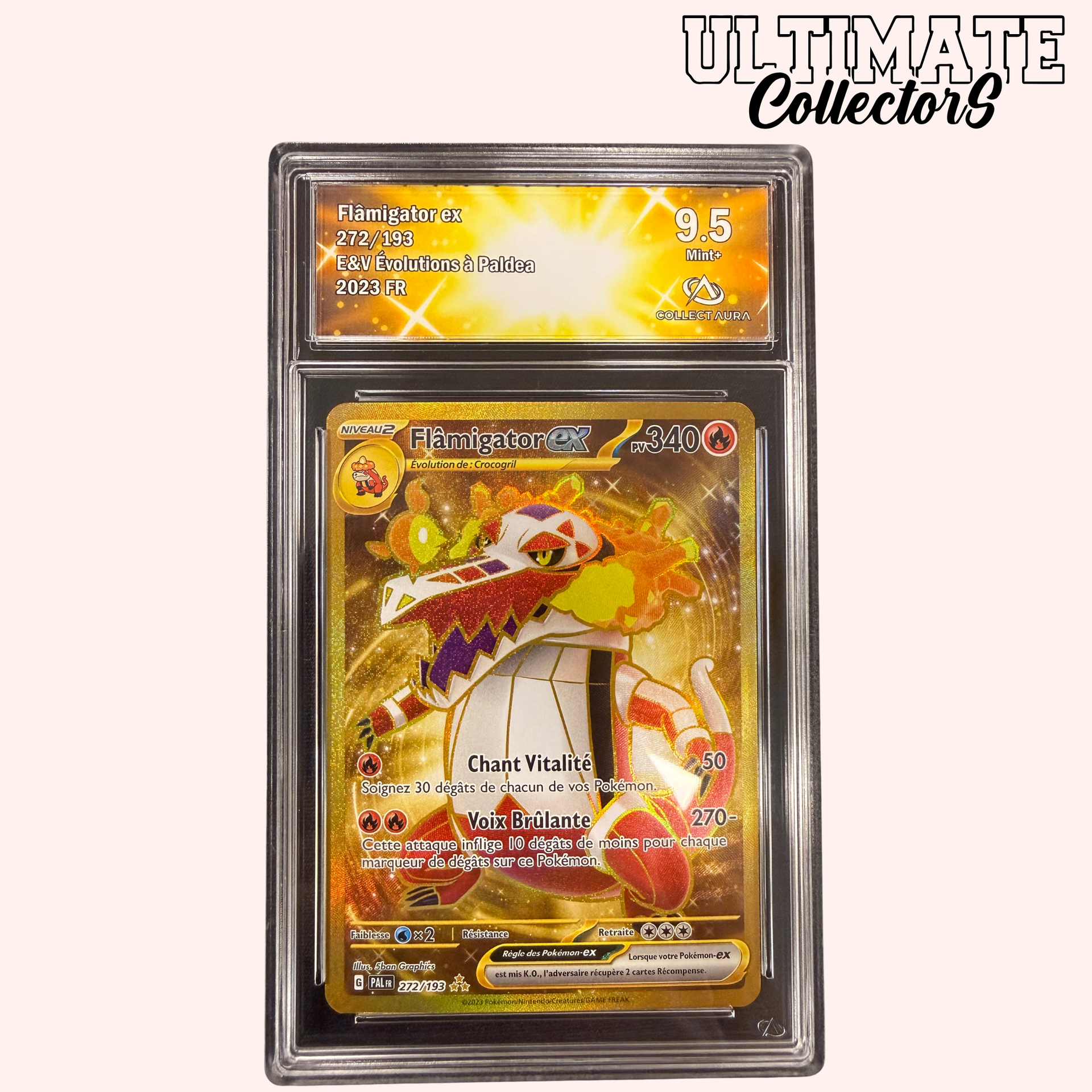 Flamigo ex GOLD 272/193