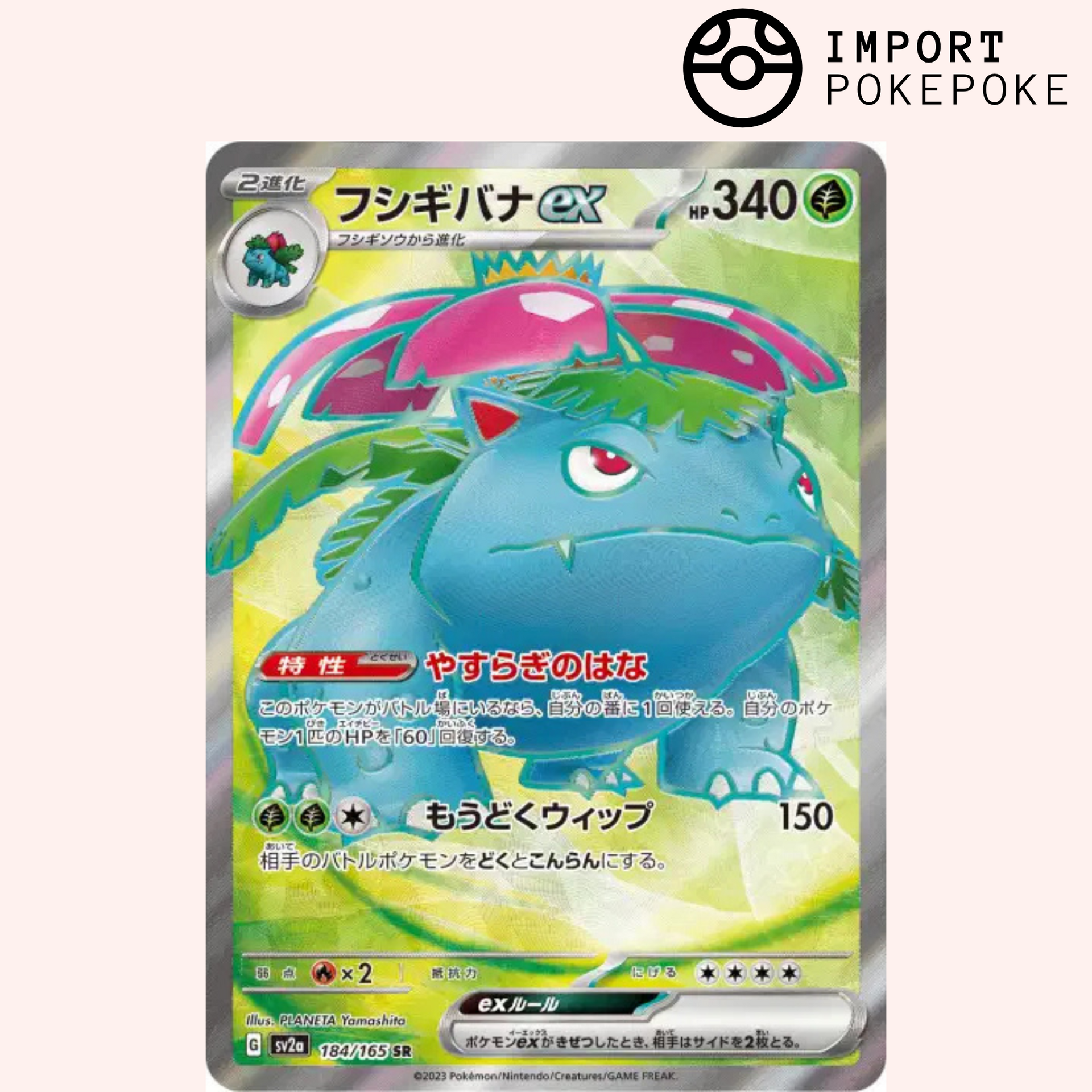 Venusaur SR 184/165 Pokémon Card, Pokemon 151 SV2a, Japanese – Hikaru
