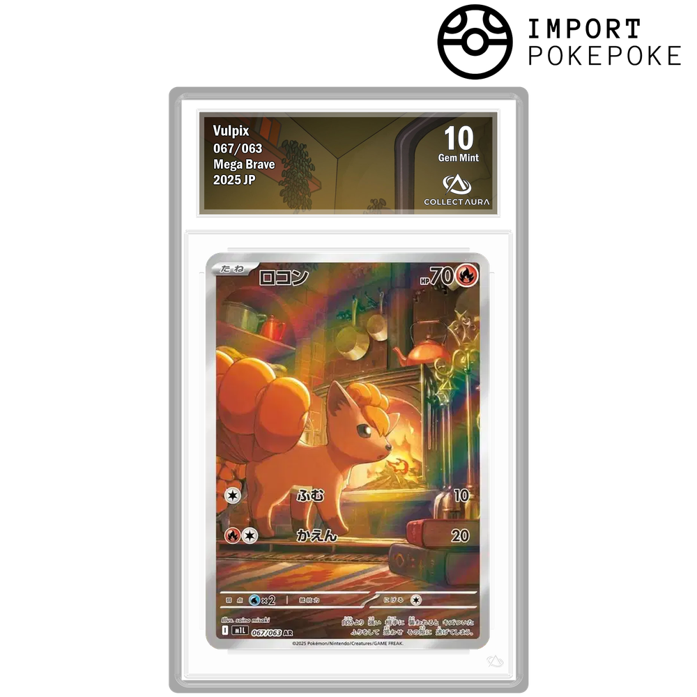 Goupix AR 067/063 - M1L