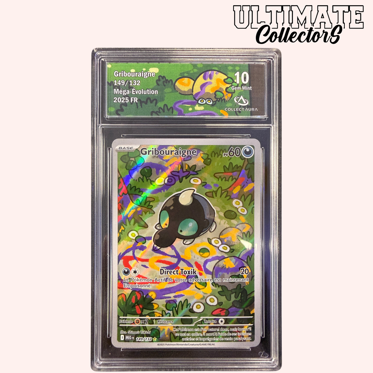 Gribouraigne AR 149/132 - Méga-Evolution