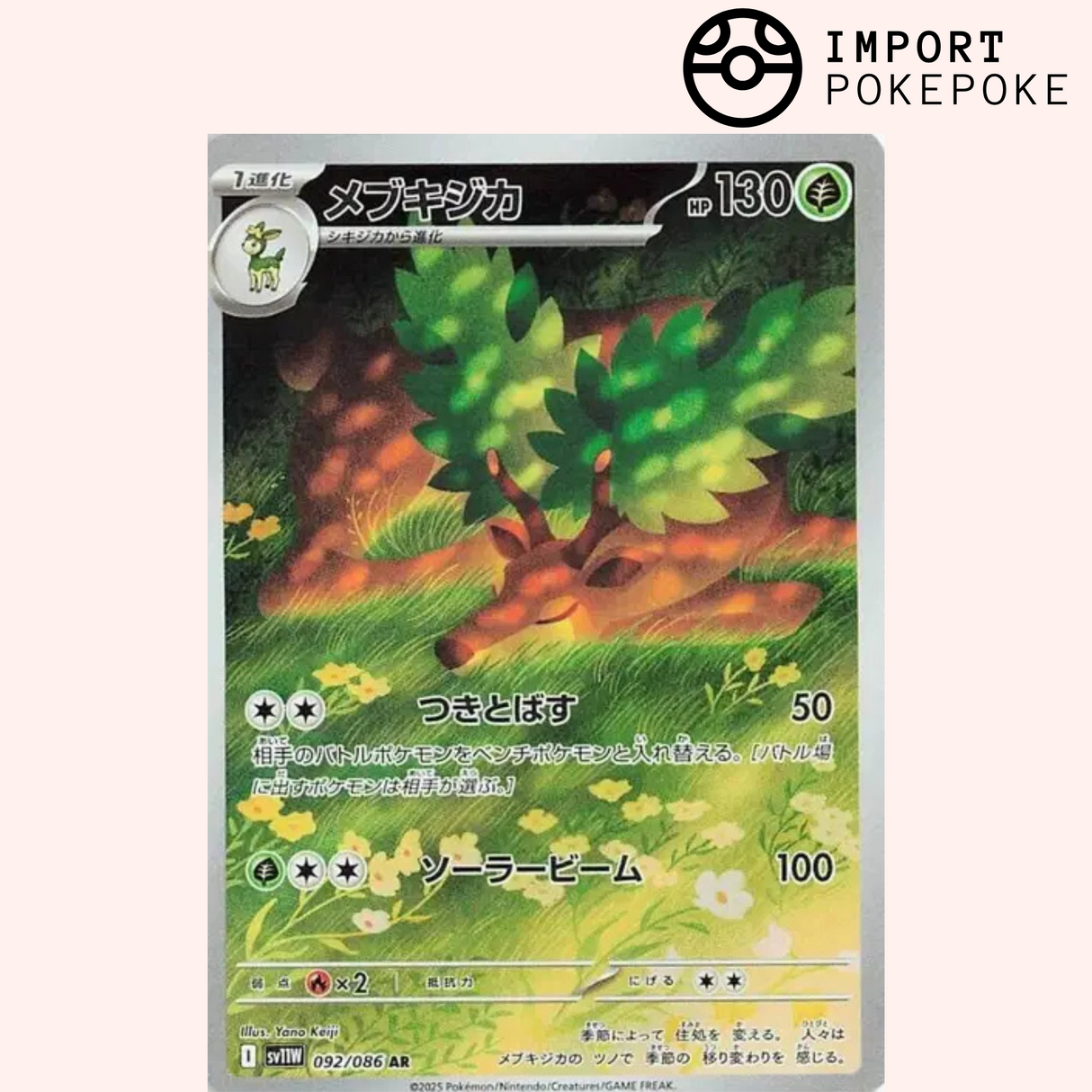 Haydaim AR 091/086 SV11w