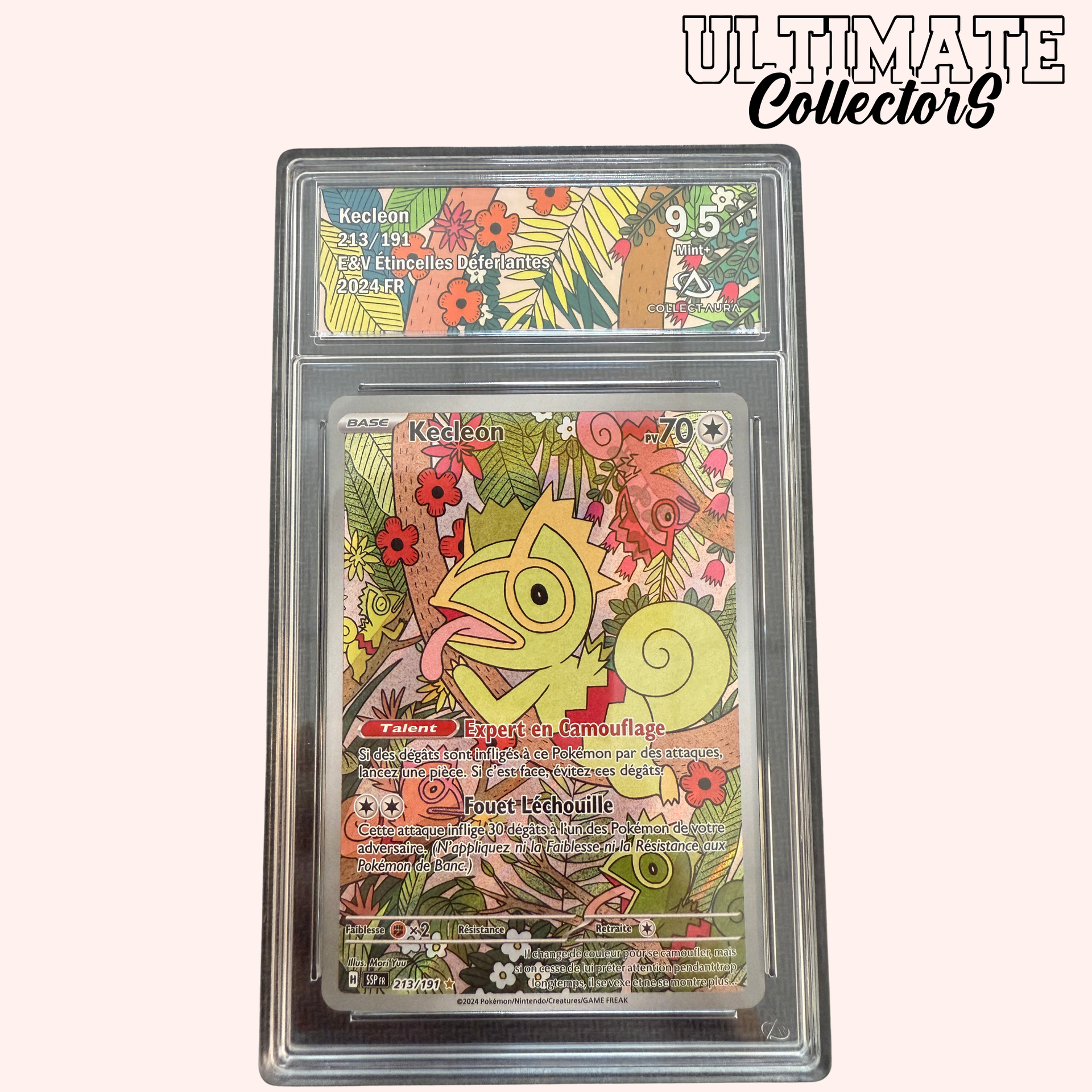 Kecleon AR 213/191