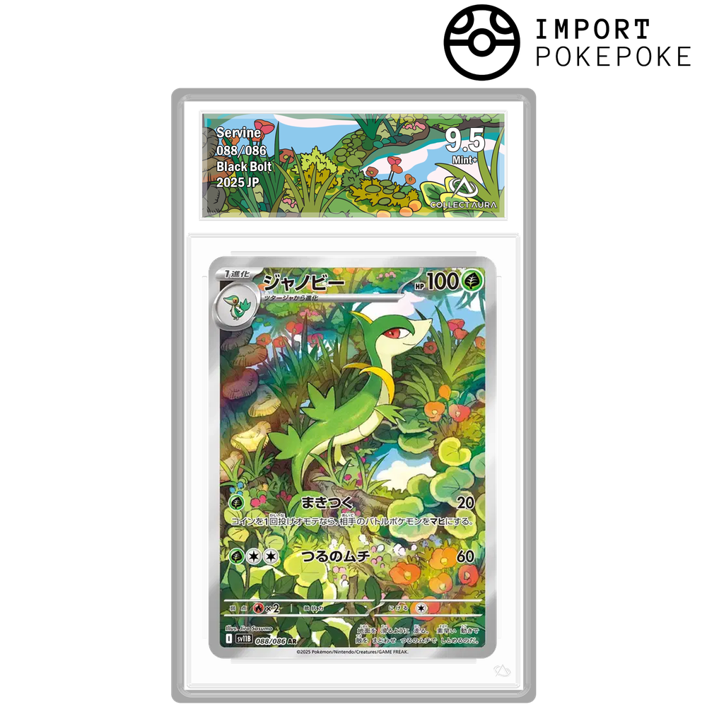 Lianaja AR 088/086 - SV11B