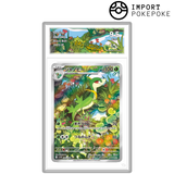 Lianaja AR 088/086 - SV11B