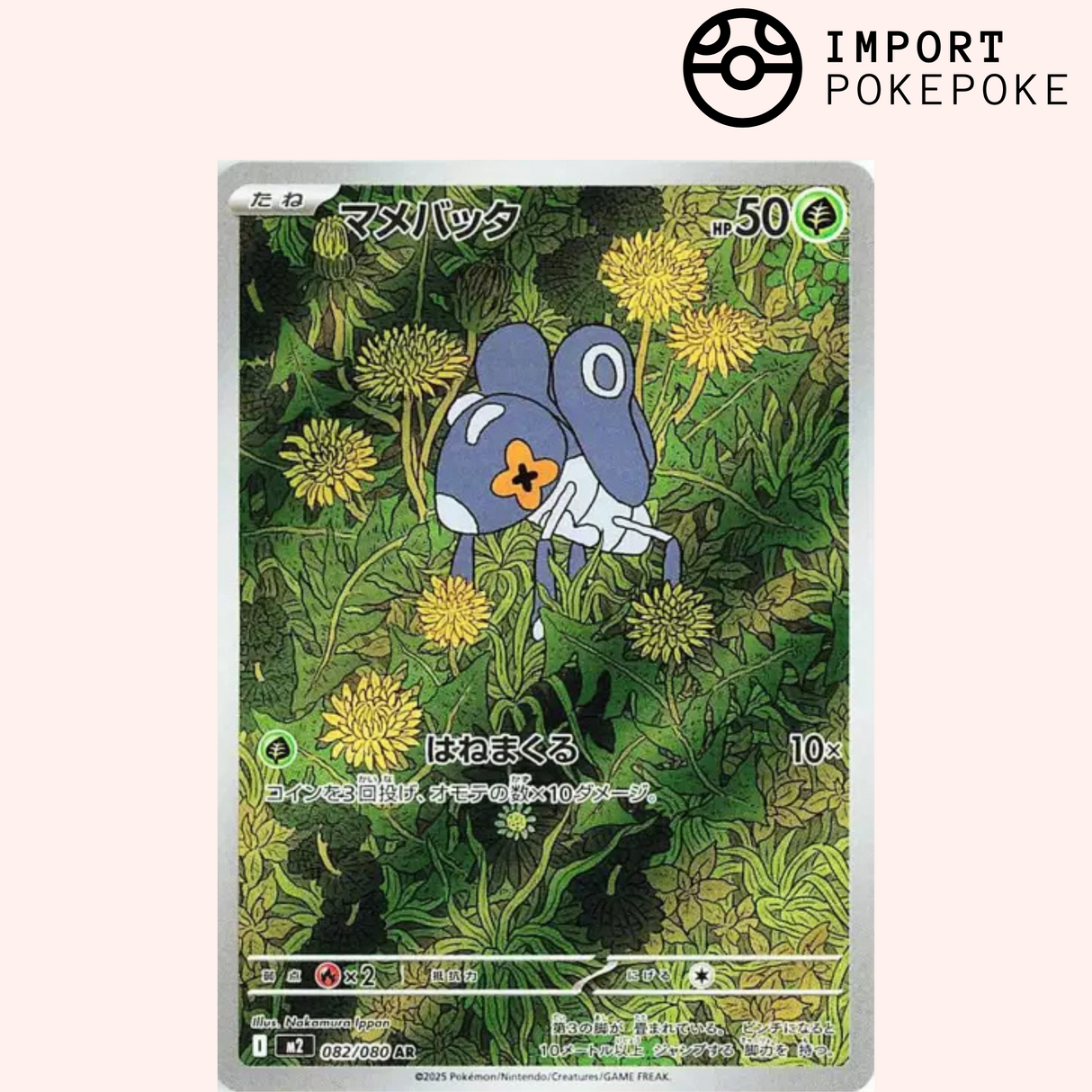 Lilliterelle AR 082/080 - M2