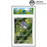 Lilliterelle AR 082/080  - M2