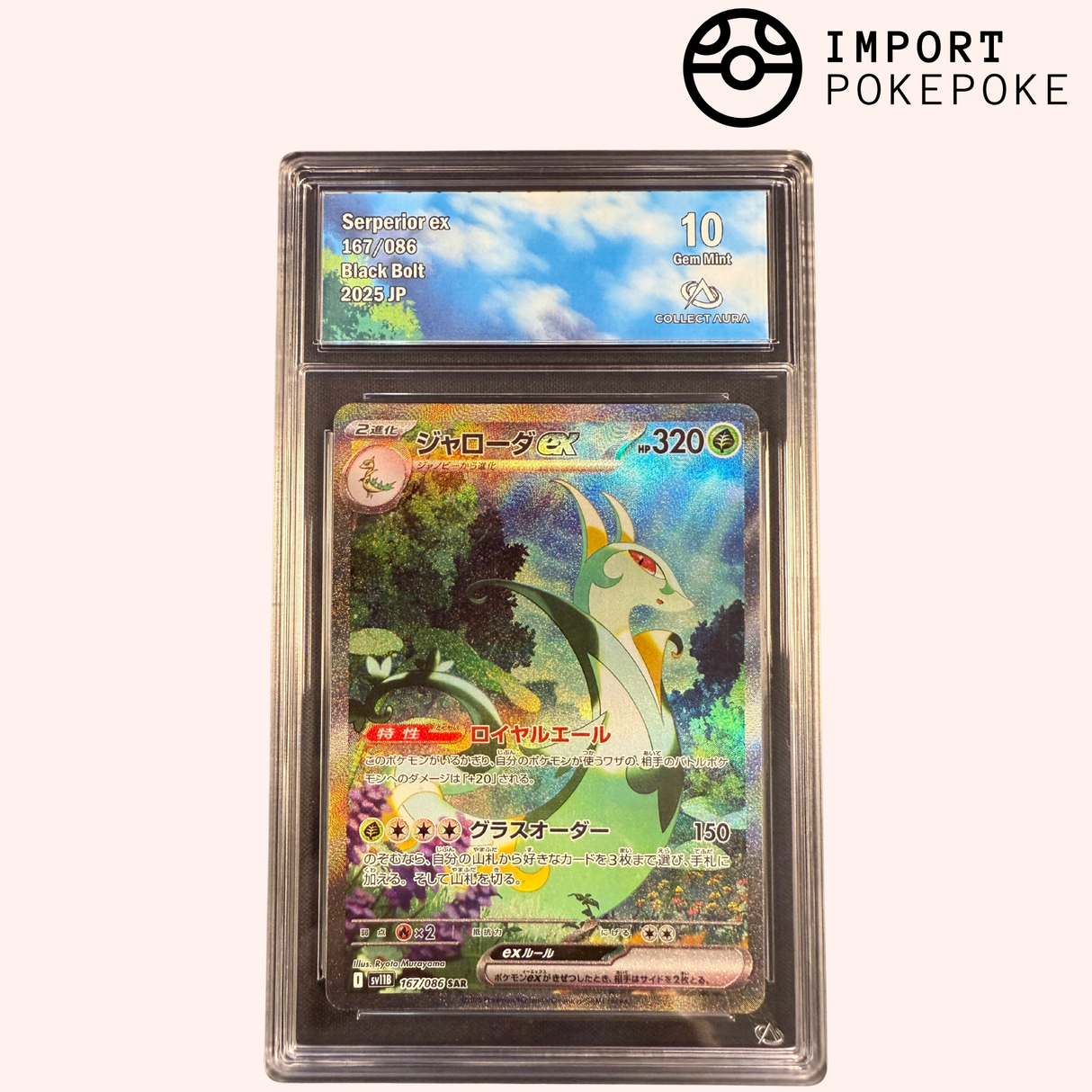 Majaspic ex SAR 167/086 - SV11B