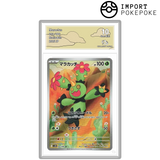 Maracachi AR 093/086 - SV11B