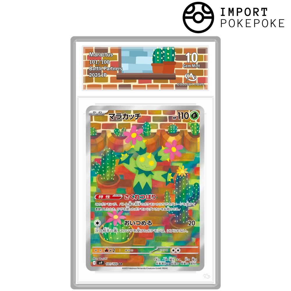 Maracachi AR 101/100 - SV9