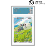 Moumouton de Nabil AR 112/100 - SV9