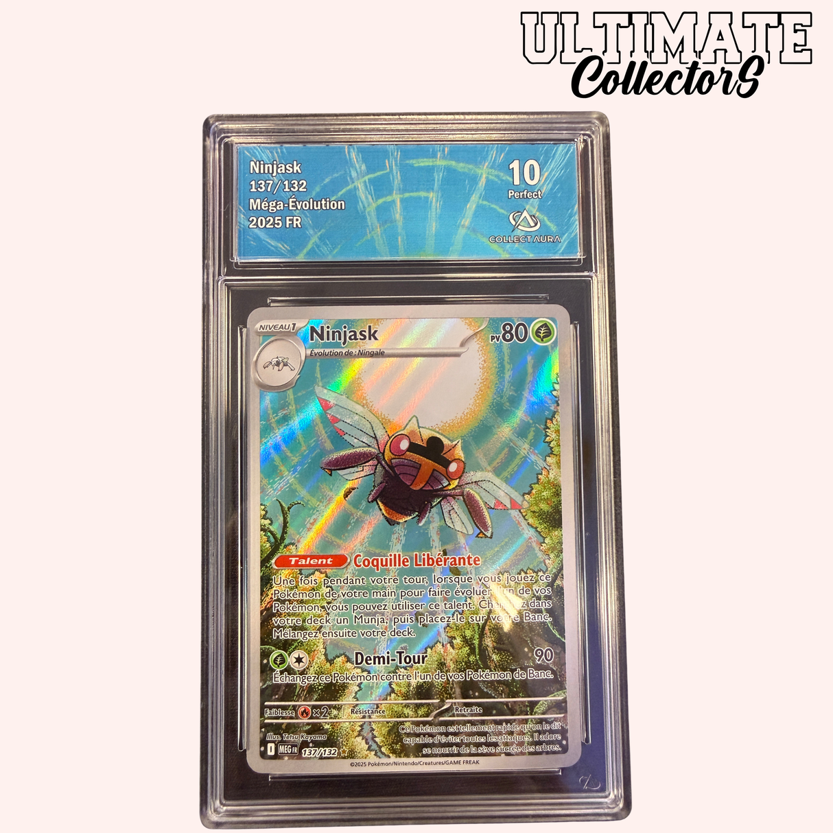 Ninjask AR 137/132 - Méga-Evolution