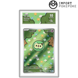 Nucléos AR 123/086 - SV11B