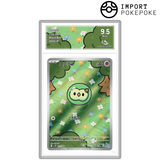 Nucléos AR 123/086 - SV11B