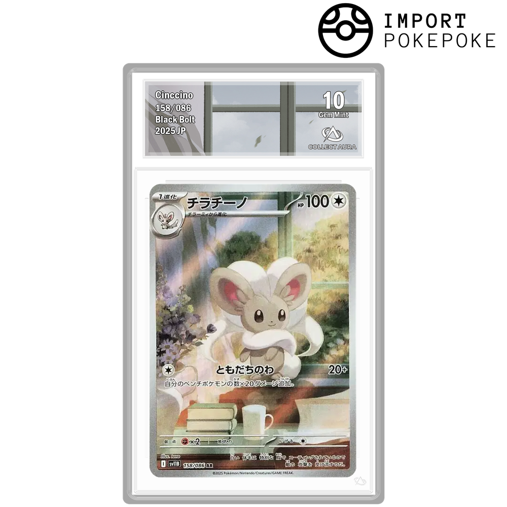 Pashmilla AR 158/086 - SV11B