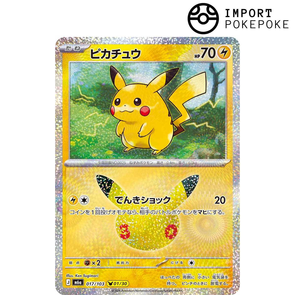 Pikachu 01/30 - 30th M6a