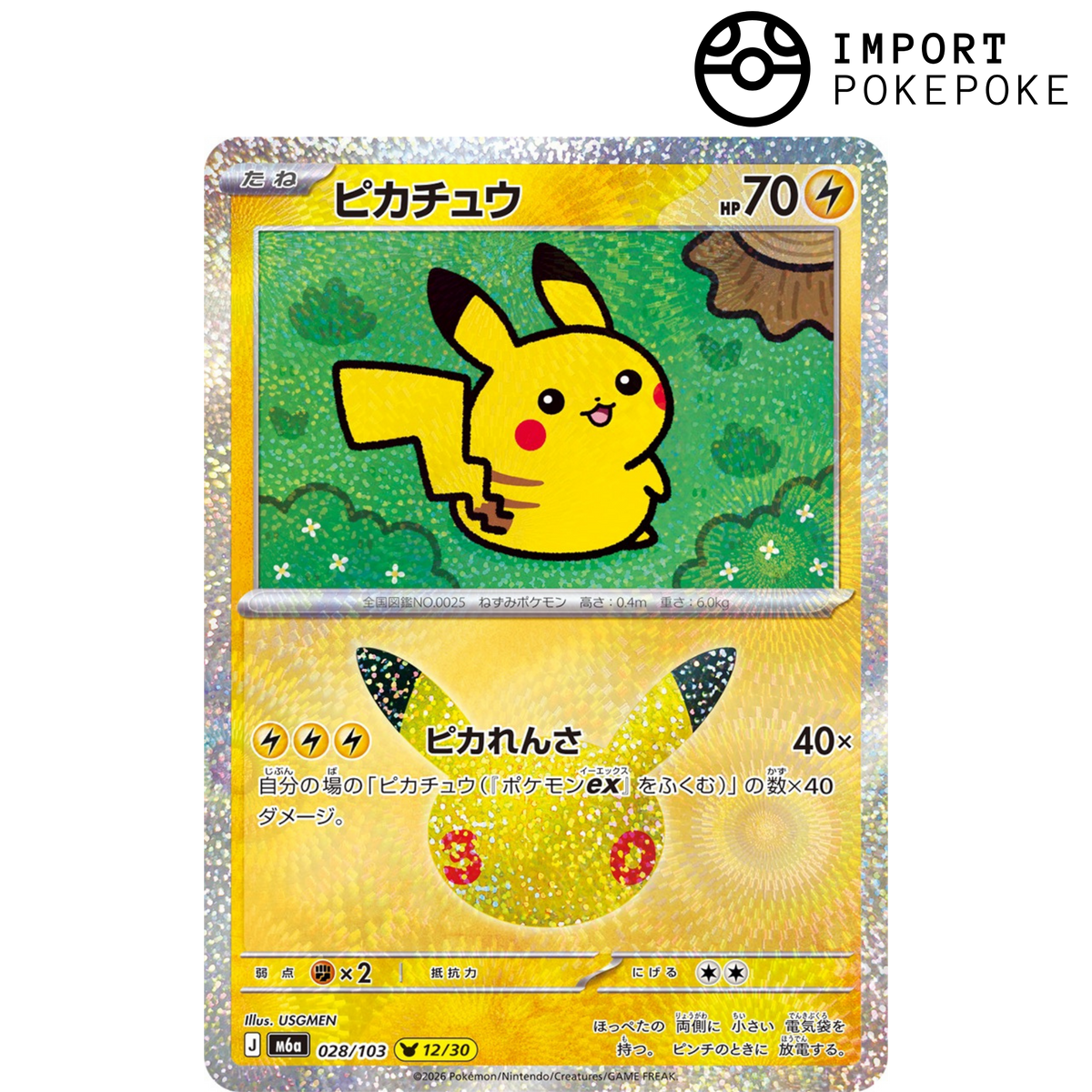 Pikachu 12/30 - 30th M6a