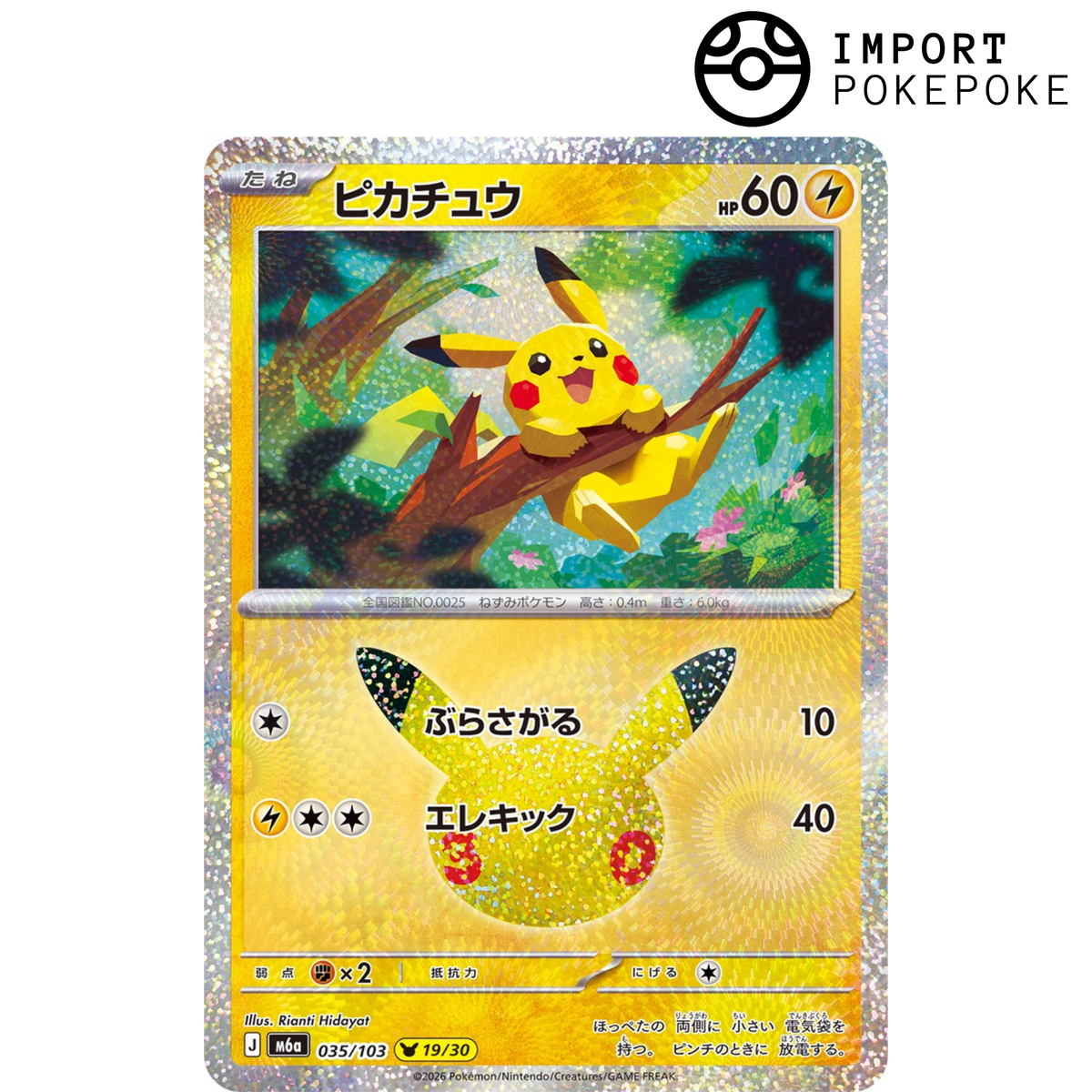 Pikachu 19/30 - 30th M6a