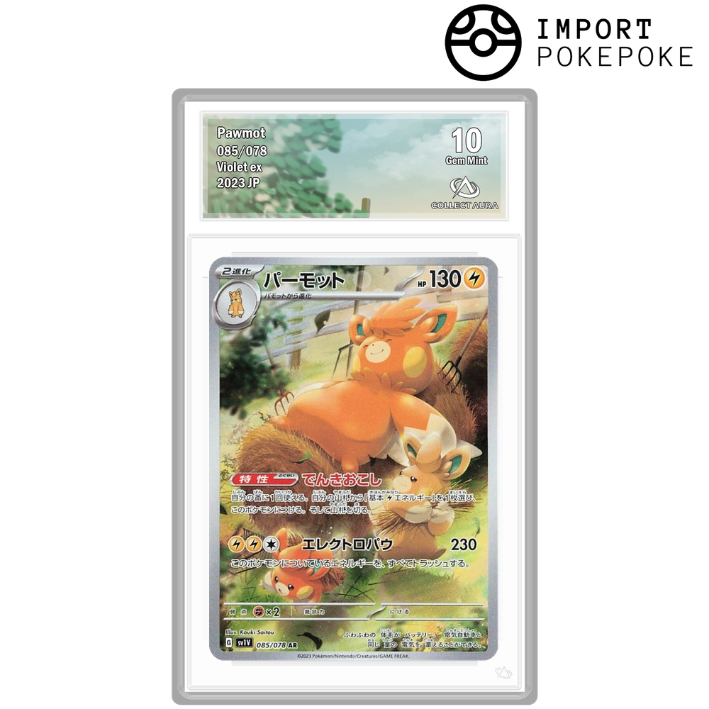 Pohmarmotte AR 085/078 - SV1v