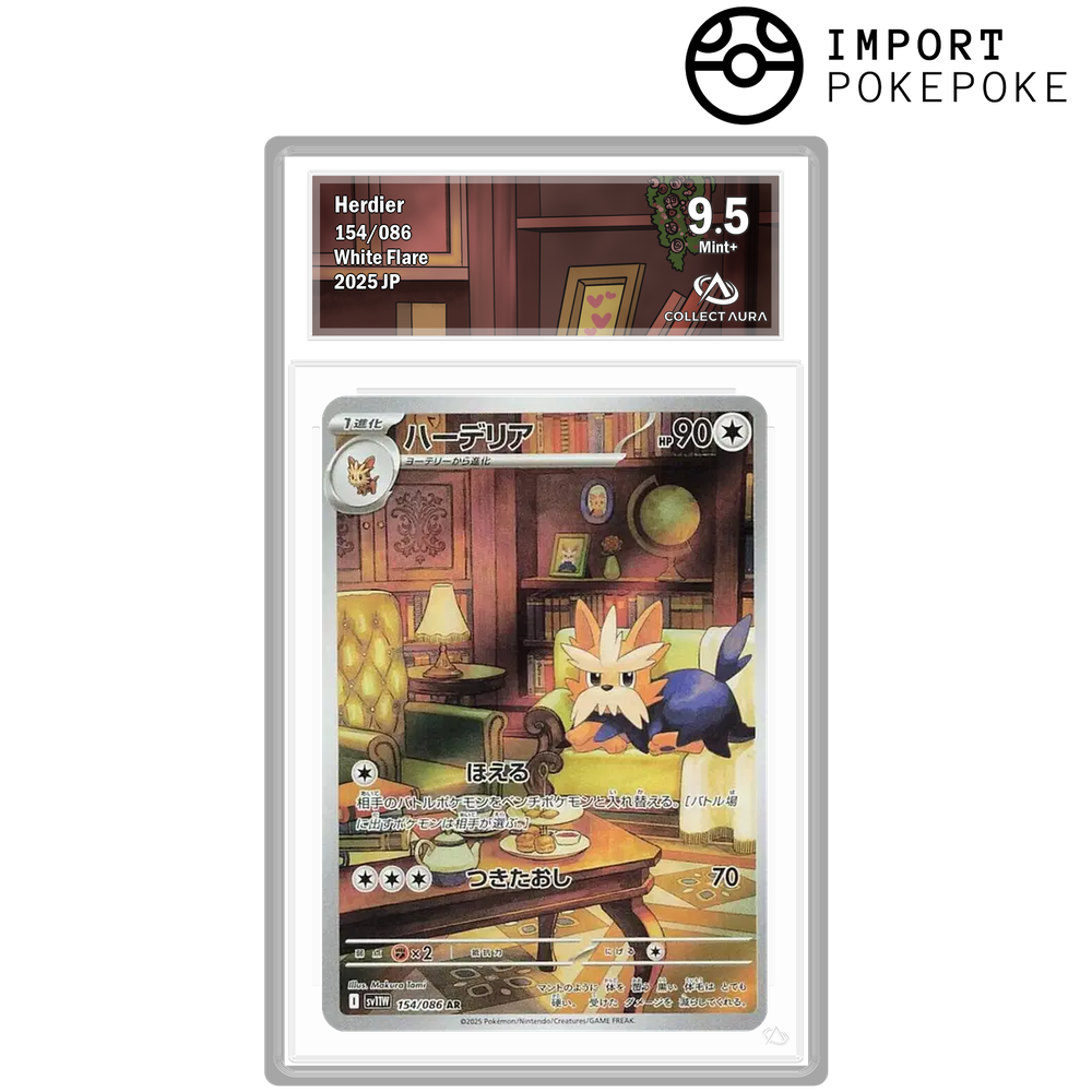 Ponchien AR 154/086 - SV11W