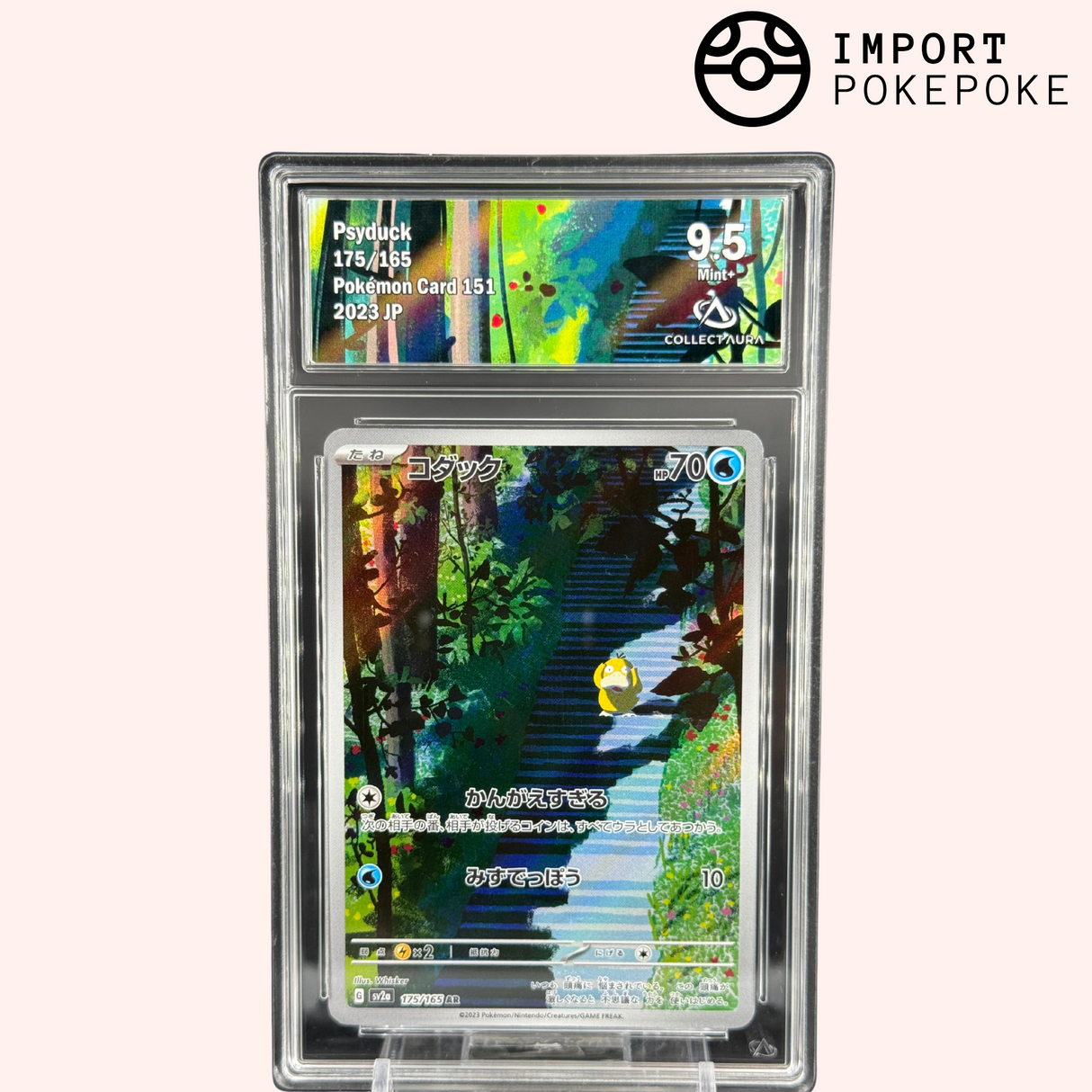 Psykokwak AR 175/165 - 151 - Japonais