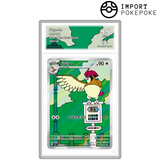 Roucoups AR 119/108 - SV3